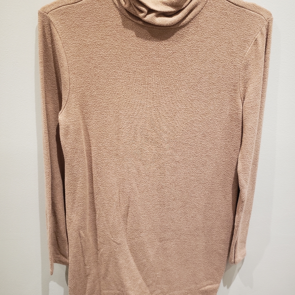 Taupe Knit Turtleneck Dress